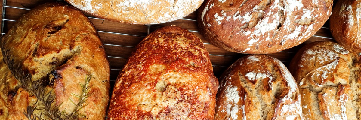 Unsere Brote - Impressionen